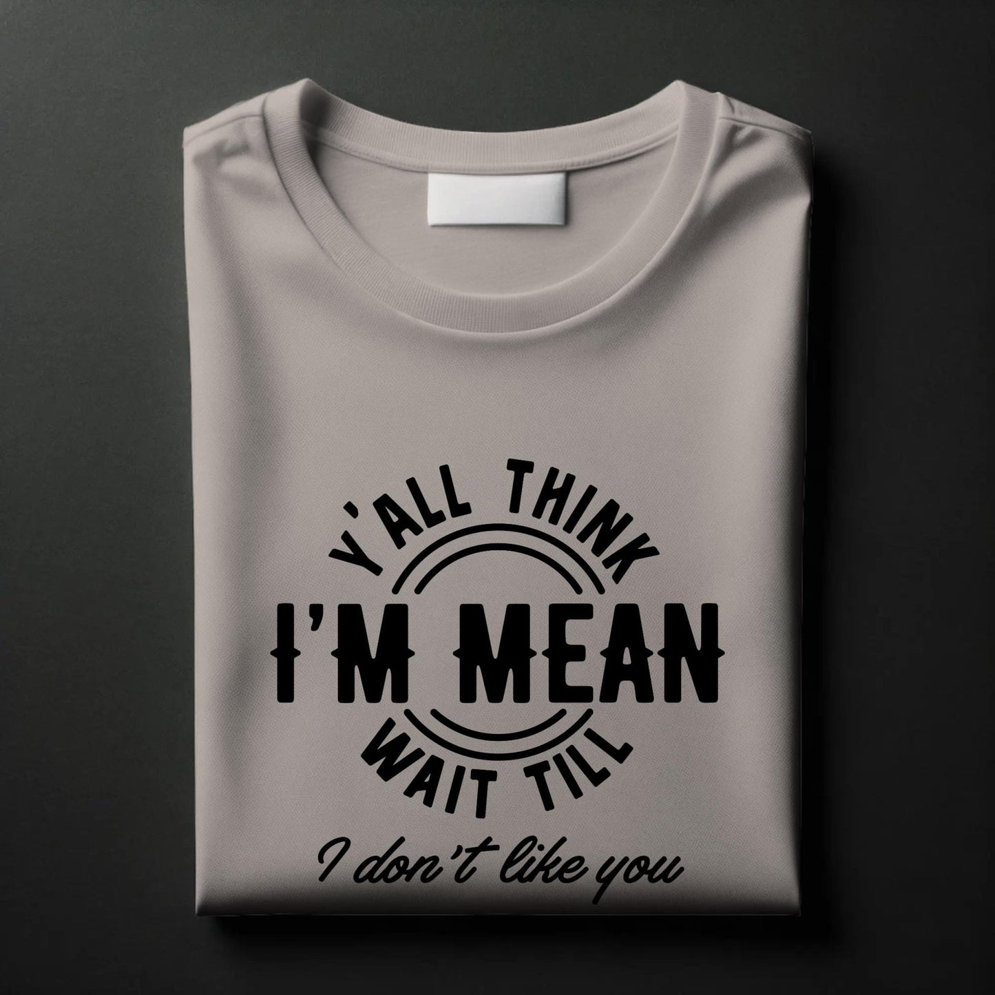 Y’all Think I’m Mean T-Shirt – Funny Sass Quote Tee – “Wait Till I Don’t Like You” Attitude Shirt